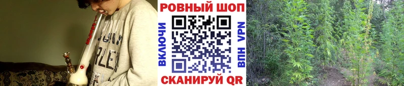 Купить Конопля А ПВП ГАШ Мефедрон Тосно