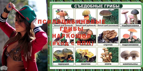 СК Нязепетровск
