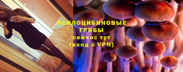 герыч Няндома