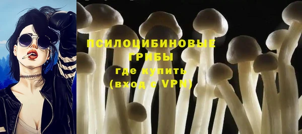 СК Нязепетровск