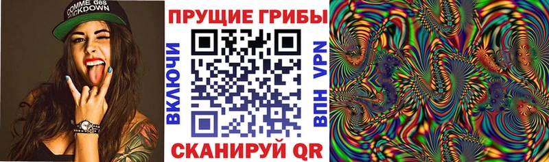 Псилоцибиновые грибы мицелий  Купить  Тосно 